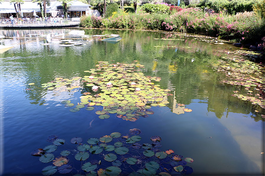 foto Giardini Trauttmansdorff - Giardini acquatici